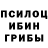 Псилоцибиновые грибы прущие грибы Andrei Shop