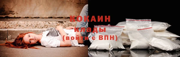 гашик Абинск