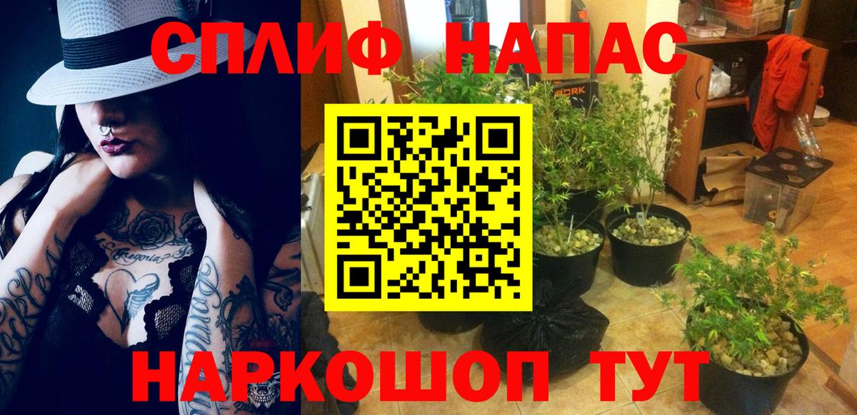Шишки марихуана индика Морозовск